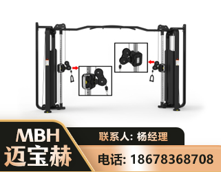 徐州大飞鸟训练器