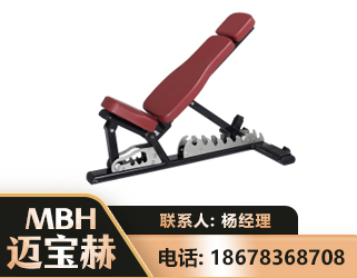 徐州可调哑铃椅